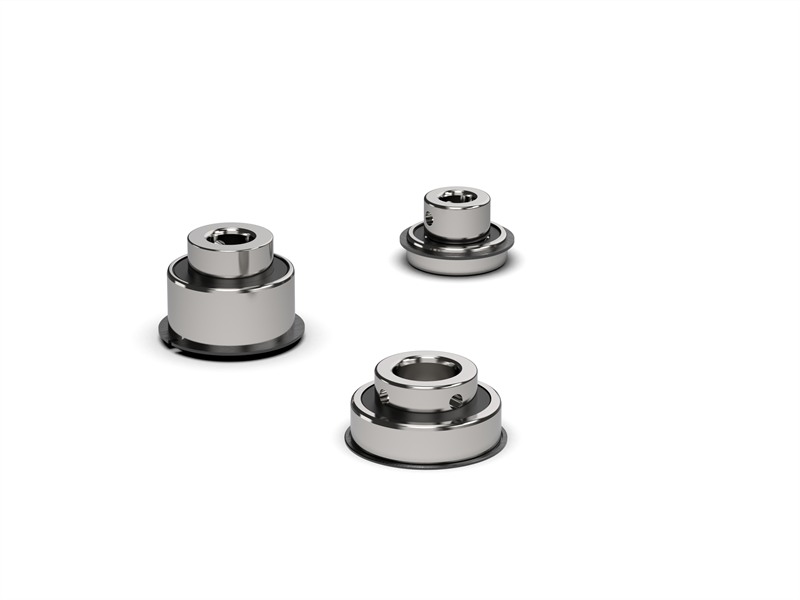 Extended Inner Ring Bearing