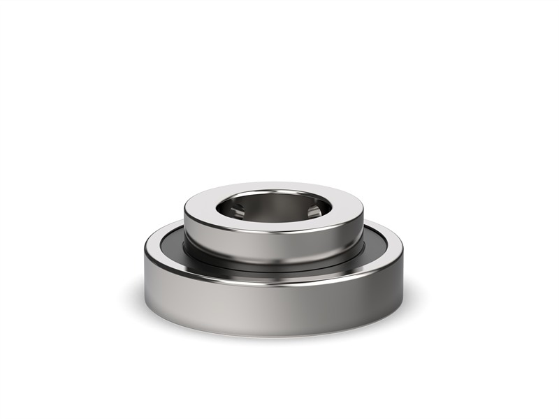 Extended Inner Ring Bearing